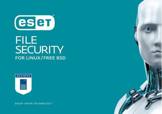 Изображение ESET Server Security 1 year(s)