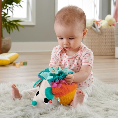 Attēls no Fisher-Price Cuddle N'' Snuggle Hedgehog