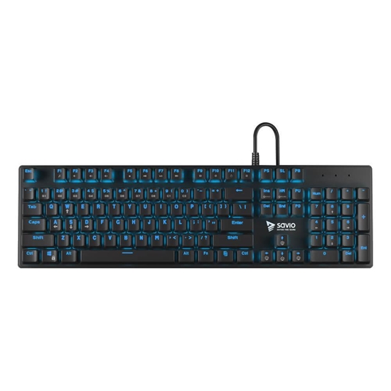 Изображение KEYBOARD RX FULL BLUE TEMPEST SAVIO