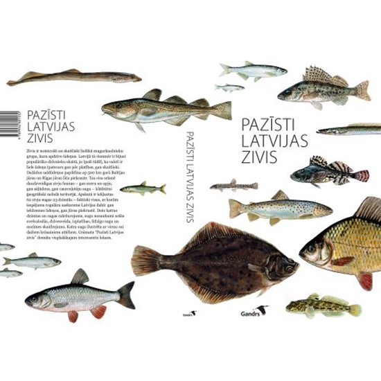 Picture of Pazīsti Latvijas zivis