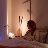 Picture of Philips Hue White and colour ambience Iris table lamp