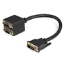 Picture of StarTech.com 30cm (1 ft) DVI-D to 2x DVI-D Digital Video Splitter Cable - M/F~1 ft DVI-D to 2x DVI-D Digital Video Splitter Cable - M/F