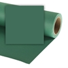 Picture of Colorama background 2.72x11m, spruce green (137)