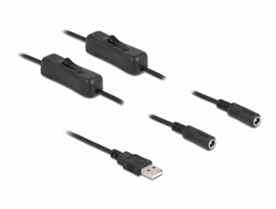 Picture of Delock Cable USB Type-A male to 2 x DC 5.5 x 2.1 mm female with switch 1 m