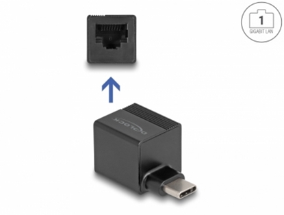 Picture of Delock USB Type-C™ Adapter to Gigabit LAN mini