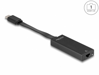 Изображение Delock USB Type-C™ Adapter to Gigabit LAN slim