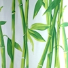 Picture of Dušas aizkars BAMBOO 180x200cm