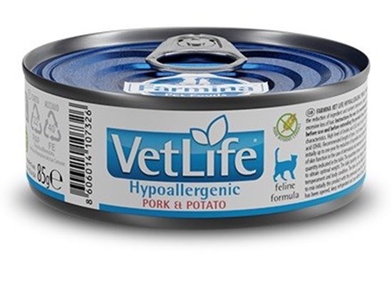 Picture of FARMINA Vet Life Hypoallergenic Pork & Potato - wet cat food - 85 g