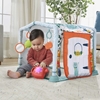 Picture of Fisher-Price 3-In-1 Crawl & Play Activity Gym