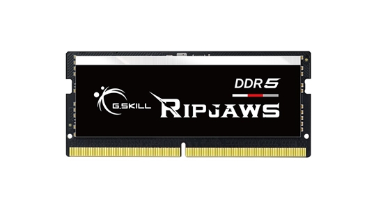 Изображение G.Skill Ripjaws F5-5600S4040A16GX2-RS memory module 32 GB 2 x 16 GB DDR5 5600 MHz