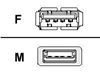 Picture of Kabel USB Techly USB-A - USB-A 0.3 m Czarny (686221)