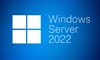 Picture of Microsoft Windows Server CAL 2022 Client Access License (CAL) 1 license(s)