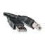 Attēls no Printer Cable USB 2.0 A-B, 3m