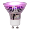 Изображение Spuldze Plant Light PAR16 3.5W/prosper GU10 42lm /100