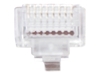 Picture of Gembird wtyk RJ45, przelotowy, UTP, kat. 5e, 8P8C, 50-pak (LC-PTU-01/50)