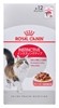 Изображение ROYAL CANIN FHN Instinctive - wet pate food for adult cats - 12x 85g