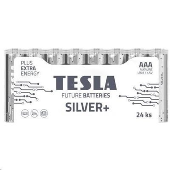 Изображение Batteries Tesla AAA Silver+ Alkaline LR03 1150 mAh (24 pcs) (13032410)