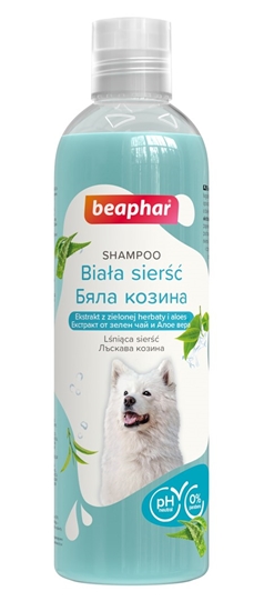 Изображение BEAPHAR White coat - shampoo for dogs - 250ml