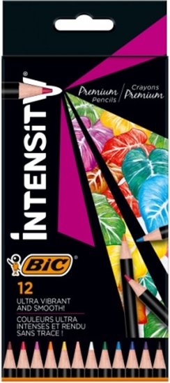 Изображение BIC Coloring pencils Intensity 12 colours 951844