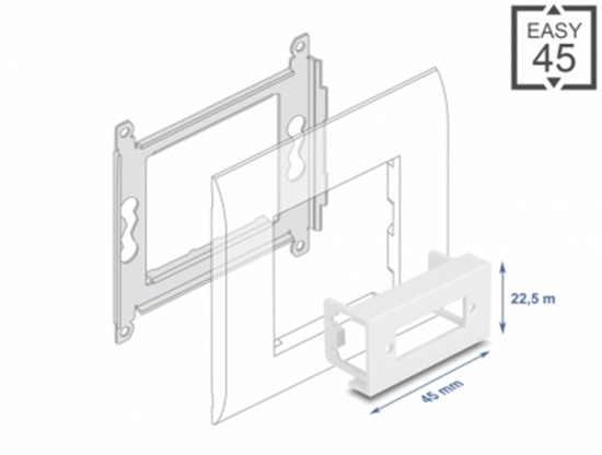 Picture of Delock Easy 45 Module Plate Rectangular cut-out for optical fiber SC Duplex coupling, 45 x 22.5 mm white