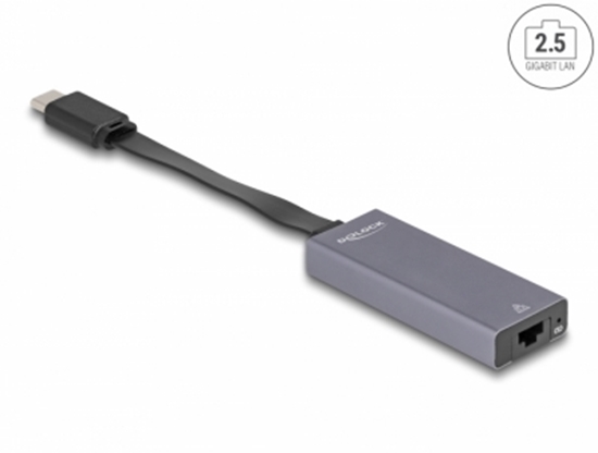 Изображение Delock USB Type-C™ Adapter to 2.5 Gigabit LAN slim