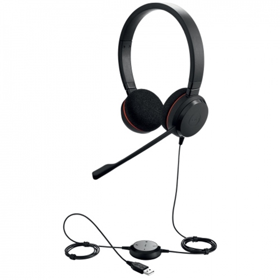 Picture of Headphones with microphone Jabra Evolve 20 MS Stereo