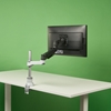 Изображение R-Go Tools Caparo 4 R-Go Caparo single monitor arm, with gas spring