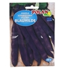 Picture of Sēklas Pupiņas Blauhilde 20g, P.