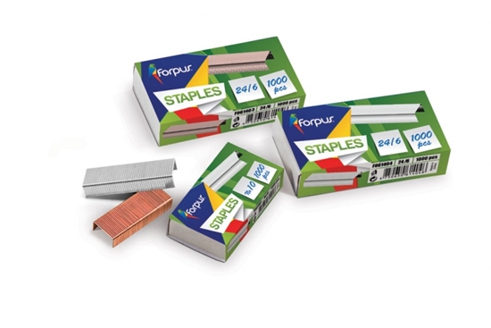 Picture of Staples Forpus, 6.24, variuotos (1000) 1103-003