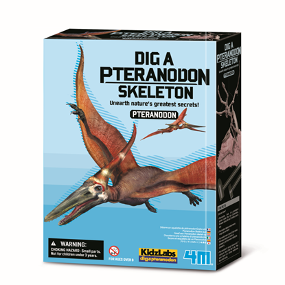 Изображение 4M Kasinėjimųz rinkinys „Pteranodonas"