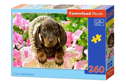 Attēls no Dėlionė Castorland Cute Dachshund, 260 dalių