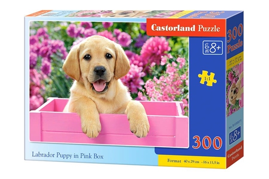 Изображение Dėlionė Castorland Labrador Puppy in Pink Box, 300 dalių