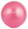 Изображение Gimnast. kamuolys 55cm TOORX AHF-069 su pompa