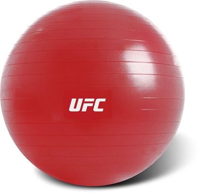 Изображение Gimnastikos kamuolys UFC 65cm