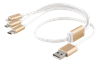 Picture of Kabelis EPZI USB-C, lightining, micro USB, 0.5m, baltas / USB-MULTI05