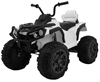 Изображение Keturratis Quad ATV 2, baltas