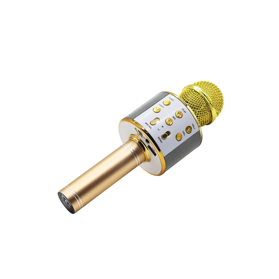 Изображение Mikrofonas Manta MIC10-G gold