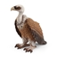 Изображение SCHLEICH WILD LIFE Grifas