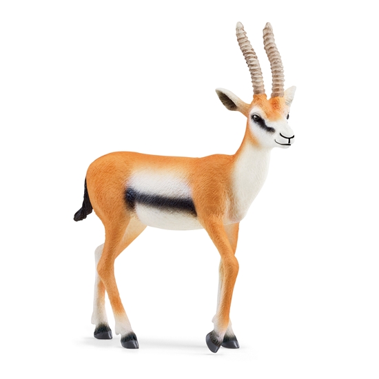 Picture of SCHLEICH WILD LIFE Tomsono gazelė