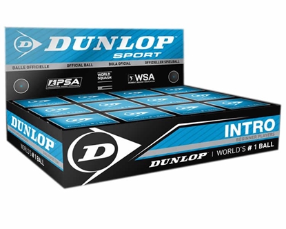 Изображение Skvošo kamuoliukas Dunlop INTRO BlueDot 627DN700105 12vnt