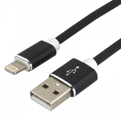 Attēls no USB lightning male / USB A male 1.5m everActive CBS-1.5IB fast 2.4A melns