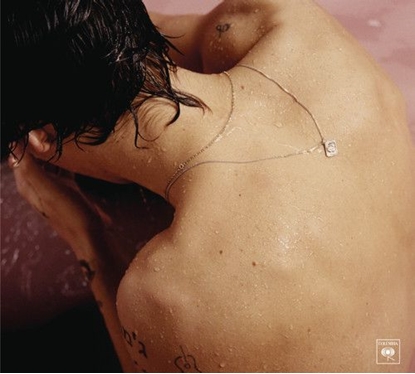 Attēls no Vinilinė plokštelė HARRY STYLES "Harry Styles"