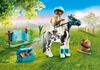 Picture of Playmobil Collecting Pony Lewitzer (70515)