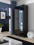 Изображение Cama display cabinet SOHO S6 2D2S black/black gloss