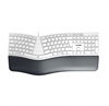 Picture of CHERRY KC 4500 ERGO keyboard USB QWERTZ German White