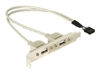 Picture of Delock Slot bracket 2 x USB 2.0 type A female external