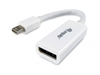 Picture of Equip Mini DisplayPort to DisplayPort adapter