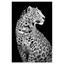 Picture of Foto glezna 120x80 Leopard  82201