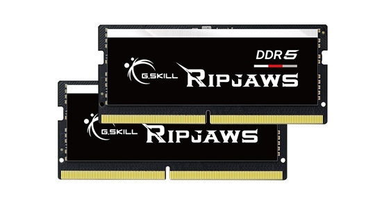 Picture of G.Skill Ripjaws F5-4800S4039A16GX2-RS memory module 32 GB 2 x 16 GB DDR5 4800 MHz