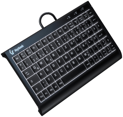 Picture of KeySonic KSK-3011ELC (DE) keyboard USB QWERTZ German Black